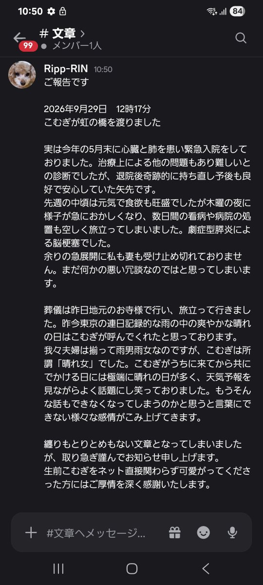 RIN_Ripp0920's tweet photo. https://t.co/Gqpi5P5Ht1