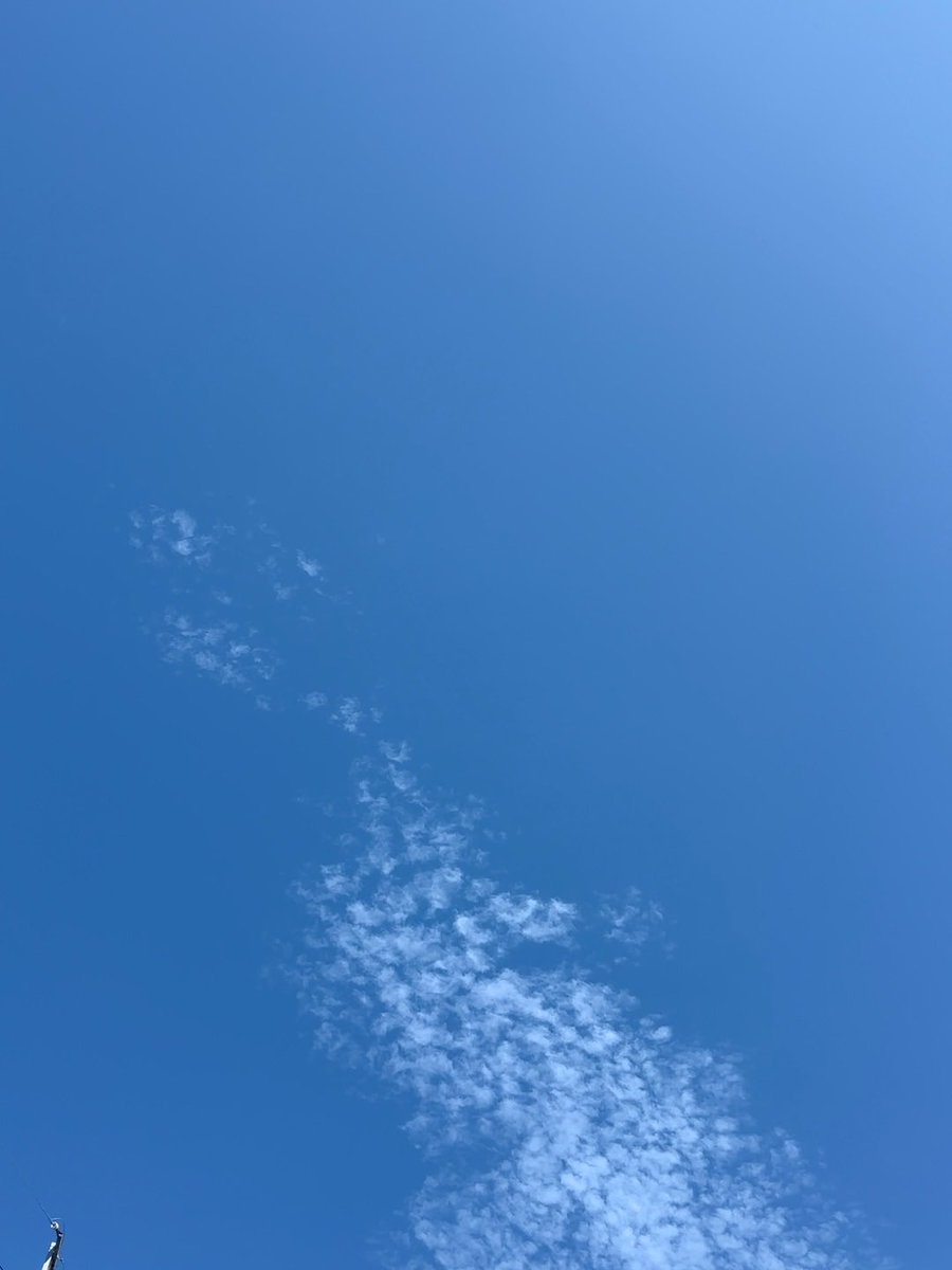 s_ps679's tweet photo. 青い空と、きもちいい風。

それだけで、
今日はちょっといい日🍃

#イマソラ https://t.co/SnvK8Z3w1J