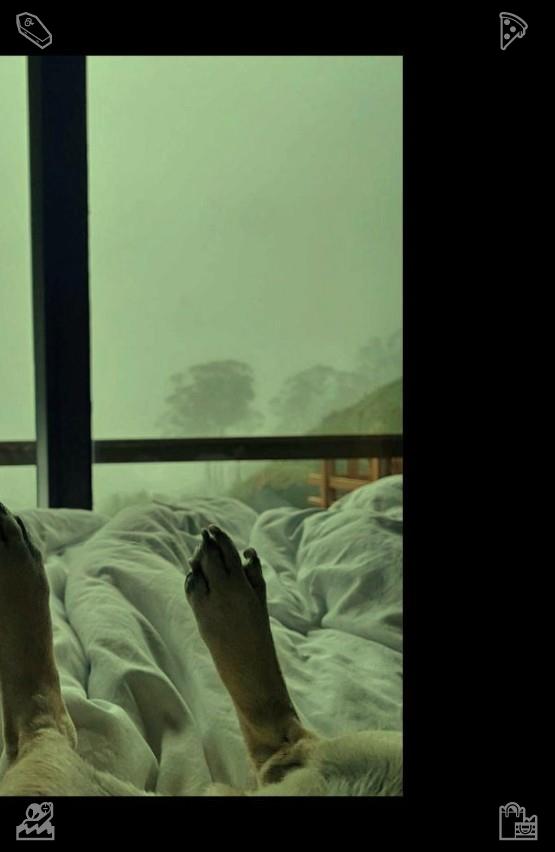 0533Tomo's tweet photo. Back home, Lila edited the photos from the art gallery, skate park, and family dinner. She loved how her style could adapt to any occasion, from bold and edgy to soft and sophisticated.📡Cat sleeps comfortably on the windowsill https://t.co/nmvukV8GKT