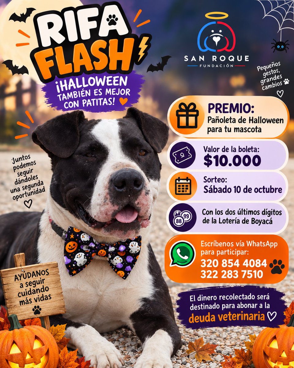 FundacionLucila's tweet photo. 🎃🐾 ¡RIFA FLASH! 🐾🎃

¿Quieres consentir a tu peludito con un accesorio súper especial? 🧡

🎁 PREMIO:
Una hermosa pañoleta de Halloween para tu mascota 🎃🐶🐱

🎟️ Valor de la boleta: $10.000

📅 Sorteo: sábado 10 de octubre
🎰 Se definirá con los dos últimos dígitos de la Lotería de Boyacá.

💙 Lo más importante: todo lo recaudado será destinado a abonar nuestra deuda veterinaria, que supera los $10 millones.

Cada boleta es una oportunidad de ganar y, al mismo tiempo, una forma de ayudarnos a seguir cuidando a nuestros rescatados. 🐾❤️

📲 Para participar, escríbenos por WhatsApp:
320 854 4084
322 283 7510

🎃 ¡Corre por tu número y ayúdanos a seguir sumando patitas! 🐾