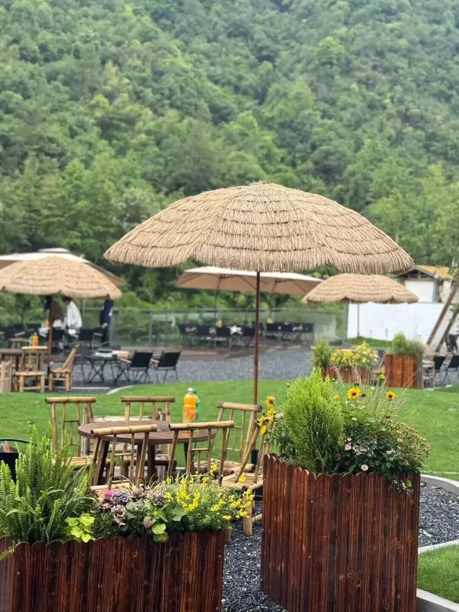 suichangxi4153's tweet photo. Finding joy in the wild: plants, umbrellas, and simple pleasures 🌿☂️

#Wilderness #NatureLovers #SimplePleasures #OutdoorVibes #PlantLife #NatureEscape #LeisureTime https://t.co/fwx45QUpld