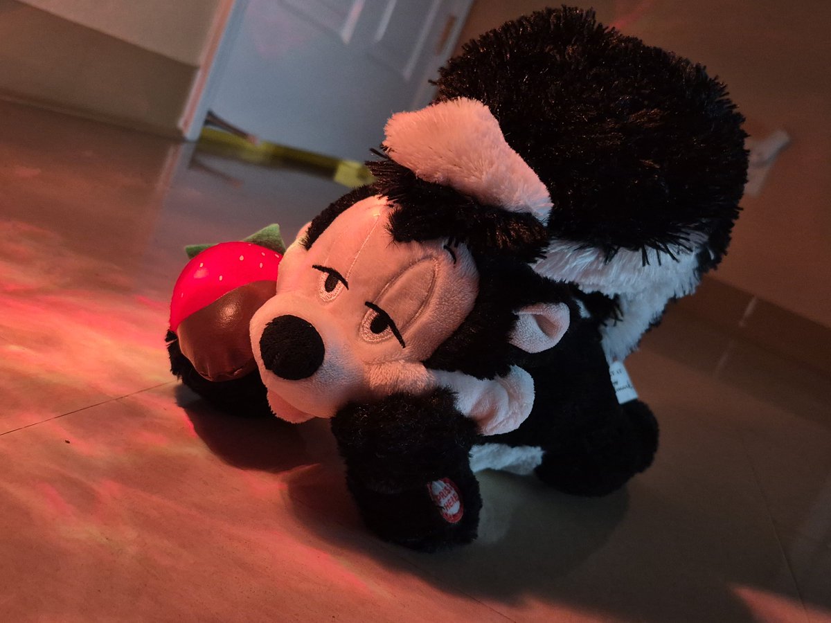 BrxadMilk's tweet photo. Busco Silvestre para cruzarlo con mi pepe que esta en celo 🙏 
#looneytunes #pepelepew https://t.co/O90d1BxiJD