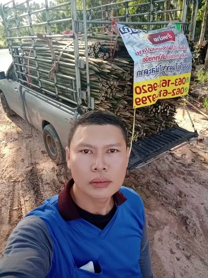 RnphuSng's tweet photo. 🙏ส่งงานวันพฤหัสบดี ที่ 1/10/2569 (117มัด)🙏
🌳ขายตลอดทั้งปีครับ🌳สนใจไม้ไผ่ลำไม้ไผ่ผ่าซีกแหลมปลาย🌳ไม้หลักปักค้ำยันต้นไม้ทุกชนิด🌳
☎️สนใจติดต่อสอบถาม
Tel / line : 0959788029 / 0631629620 / 0626199799 บ๋อม นครนายก
🙏🙏🙏ขอบคุณลูกค้าที่อุดหนุนครับ🙏🙏🙏 https://t.co/oZcRjEmq0V