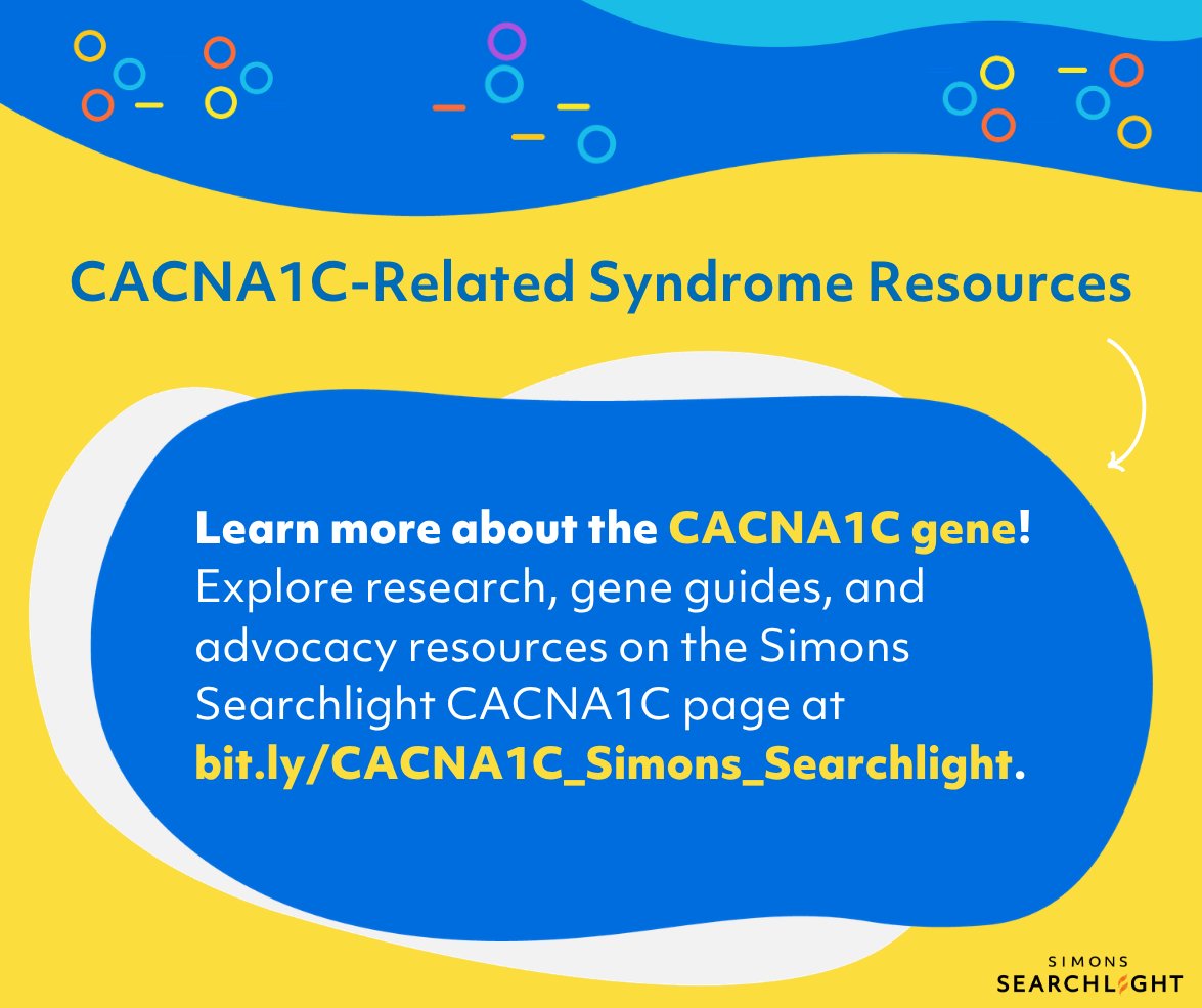 s_searchlight's tweet photo. 🎉 Today we’re celebrating #CACNA1CAwarenessDay!

Thank you to the 22 families registered with #SimonsSearchlight whose participation helps move CACNA1C research forward.

Explore GeneReviews, condition guides, advocacy resources &amp; more: https://t.co/YINwVTo9bF 💛

#CACNA1C https://t.co/8tPnIDHgX2