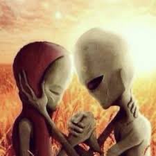 regs_mwah's tweet photo. THERE WAS A MALLODY HEALING🙏🙏🙏🙏🙏🙏🙏 #bb28 @AurichioMallory https://t.co/phVjSqeCYl