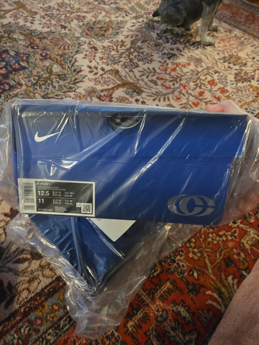 RobynBanks111's tweet photo. @DBGyt_ Mick!! Got you a pair of UK size 10 blue CCs at our Dicks Sporting Goods in South Carolina, USA - lmk where to send them like a Post Office box or somewhere you choose. Our treat to you - my mom and I love your show, hope you feel better soon, and enjoy your 30th! https://t.co/7OKV1RkeSZ