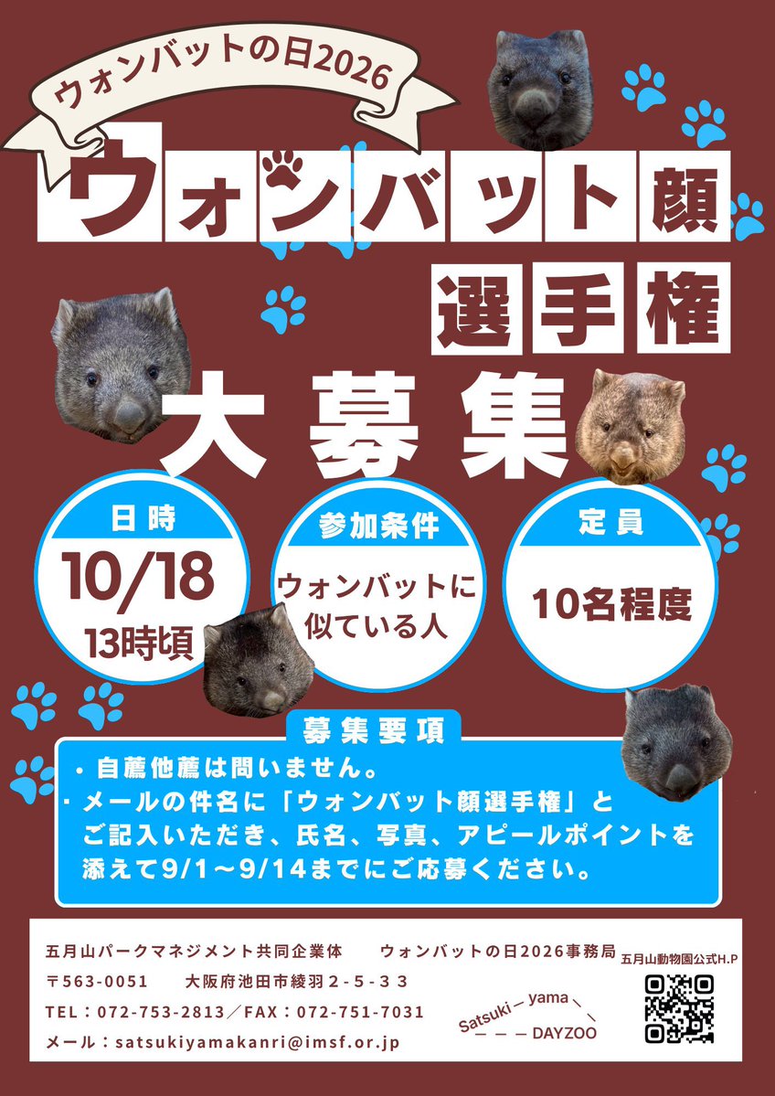 momoko_w0715's tweet photo. 応募してたウォンバット顔選手権ですが先ほど書類選考を通過して本戦出場？が決まってファイナリスト？に残ったと知らせが届きました。

せっかくなんで優勝目指して頑張ってきます🥇結果はライブで発表します笑 https://t.co/fvoz6PwkxK