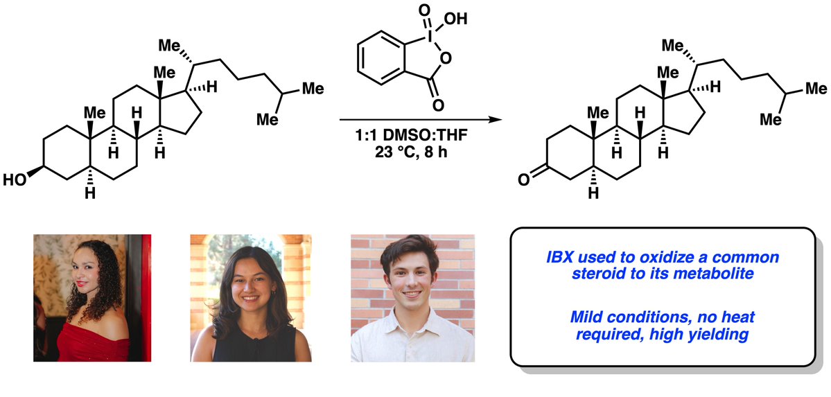 GargLab's tweet photo. This just in: we have published an IBX-mediated oxidation of the common steroid dehydrocholesterol to its metabolite, now out in @OrgSynth. Congrats to Breanna, Lauren, and Ben, and a huge thanks to @KBrownLab for checking! 
Read it here: https://t.co/oEUPX2T76h
@uclachem https://t.co/SidTEcU1j2