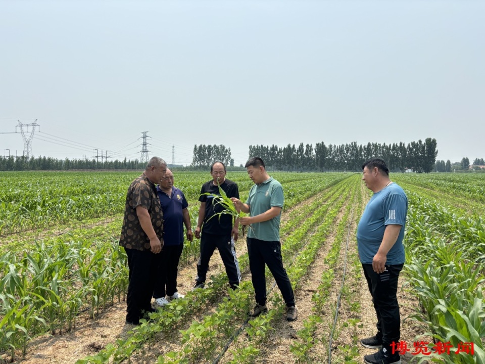 XTog5ZU4XGHVnoQ's tweet photo. [A farmer carefully tends to his fields, using reference nutrients and phosphorus fertilizer to grow strong, lush crops] https://t.co/DClYne4V2U