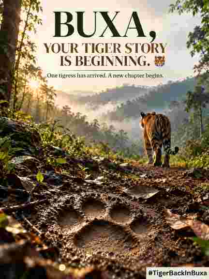 neha4433a's tweet photo. #TigerBackInBuxa 🐅
Buxa’s forests welcome a magnificent symbol of the wild.
A beautiful reminder that protecting nature can create lasting change. https://t.co/ucCGK9RbSe