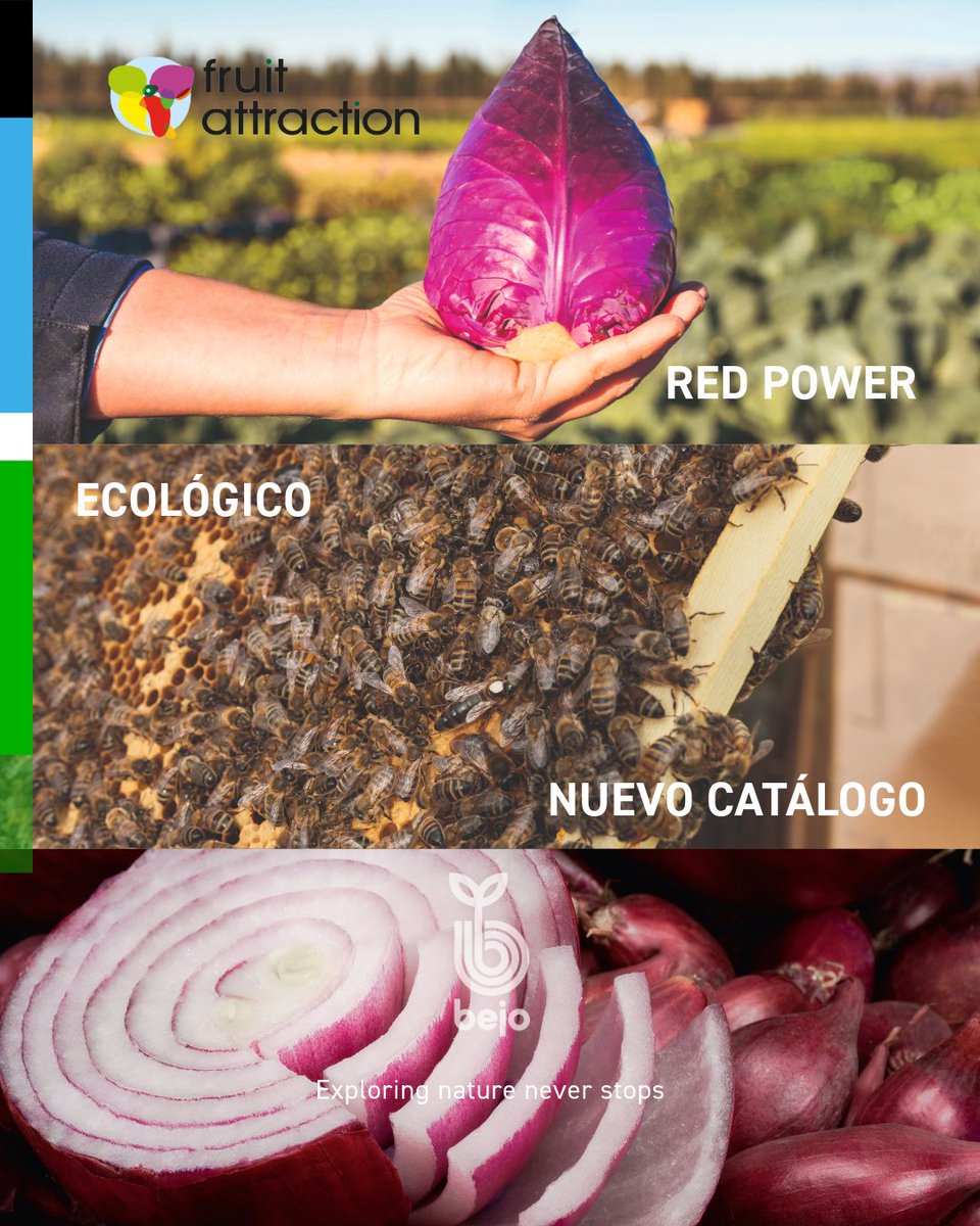 BejoEspana's tweet photo. 🥕 La semana que viene llega #FruitAttraction2026.
Ven a conocer #RedPower, nuestro surtido ecológico y el nuevo catálogo de variedades.
📍 IFEMA Madrid | Stand 9C29 (Pabellón 9)
🎟️ Consigue tu entrada en nuestra web y visítanos. https://t.co/NXhYXLWsib