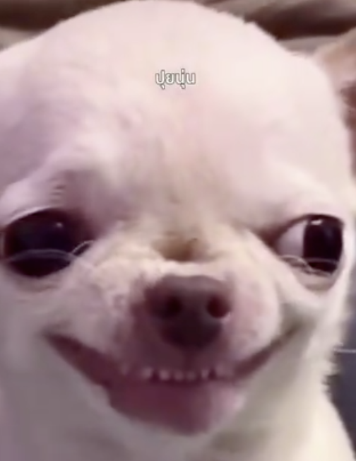 mel_cc34242's tweet photo. @Khomkhlang_STH ahhhh the little nose crunch! Also, again kudo the the social media editor person lol https://t.co/65MqYAWnSY