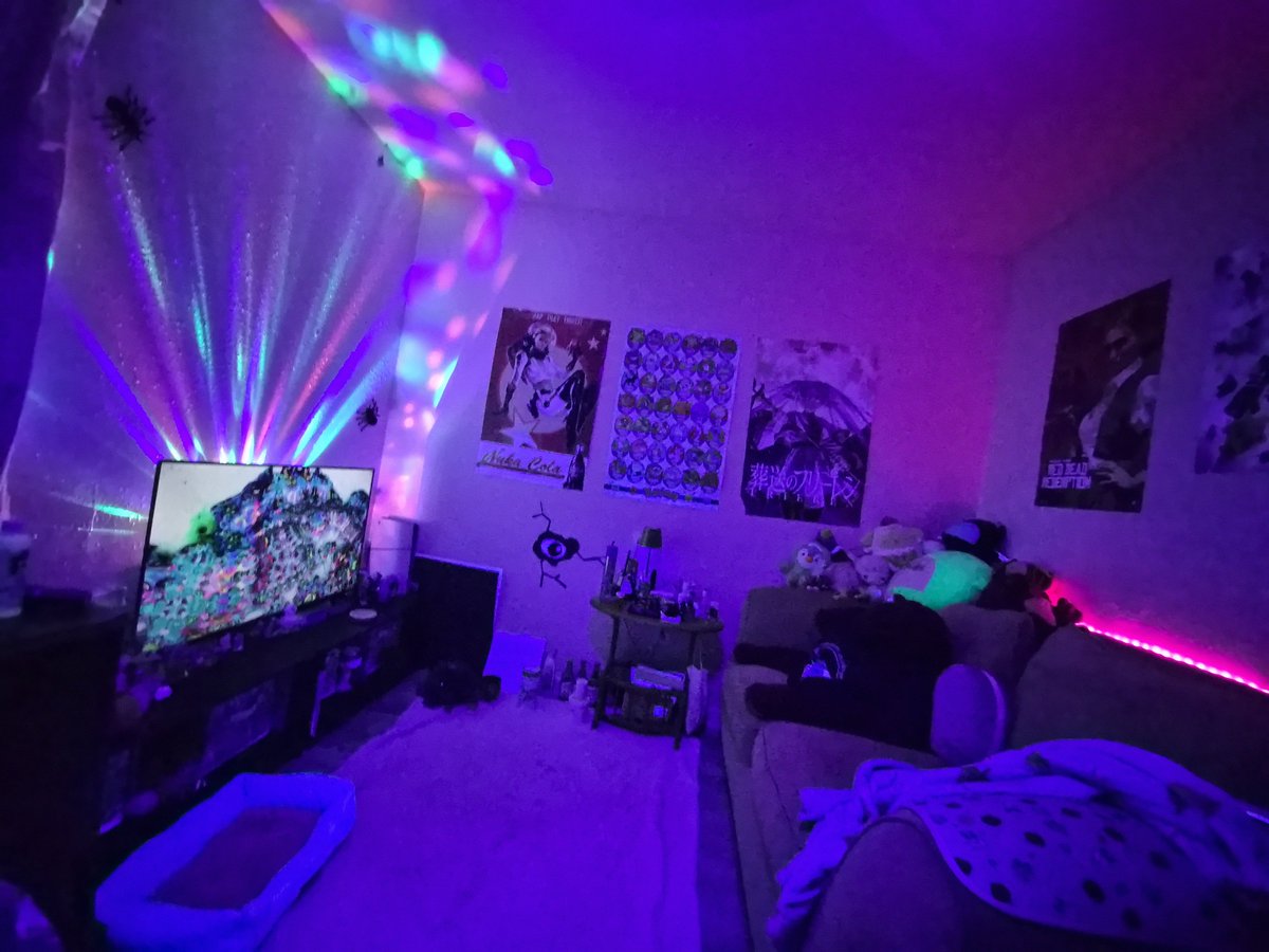 InTheFernFronds's tweet photo. Looks so much better with the blacklights on btw idk why I keep turning them off https://t.co/shsXqeDFhZ