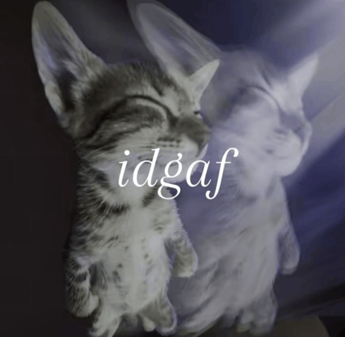 bannedhimmy's tweet photo. How many launchpads and bullshit take have we seen in the last few days?  

I found this meme and it reminds me of aura, also we simply do not give a fuck about your tech  

Back to memes   

$idgaf

https://t.co/zD8wLzDtGu https://t.co/mnimNJQHt5