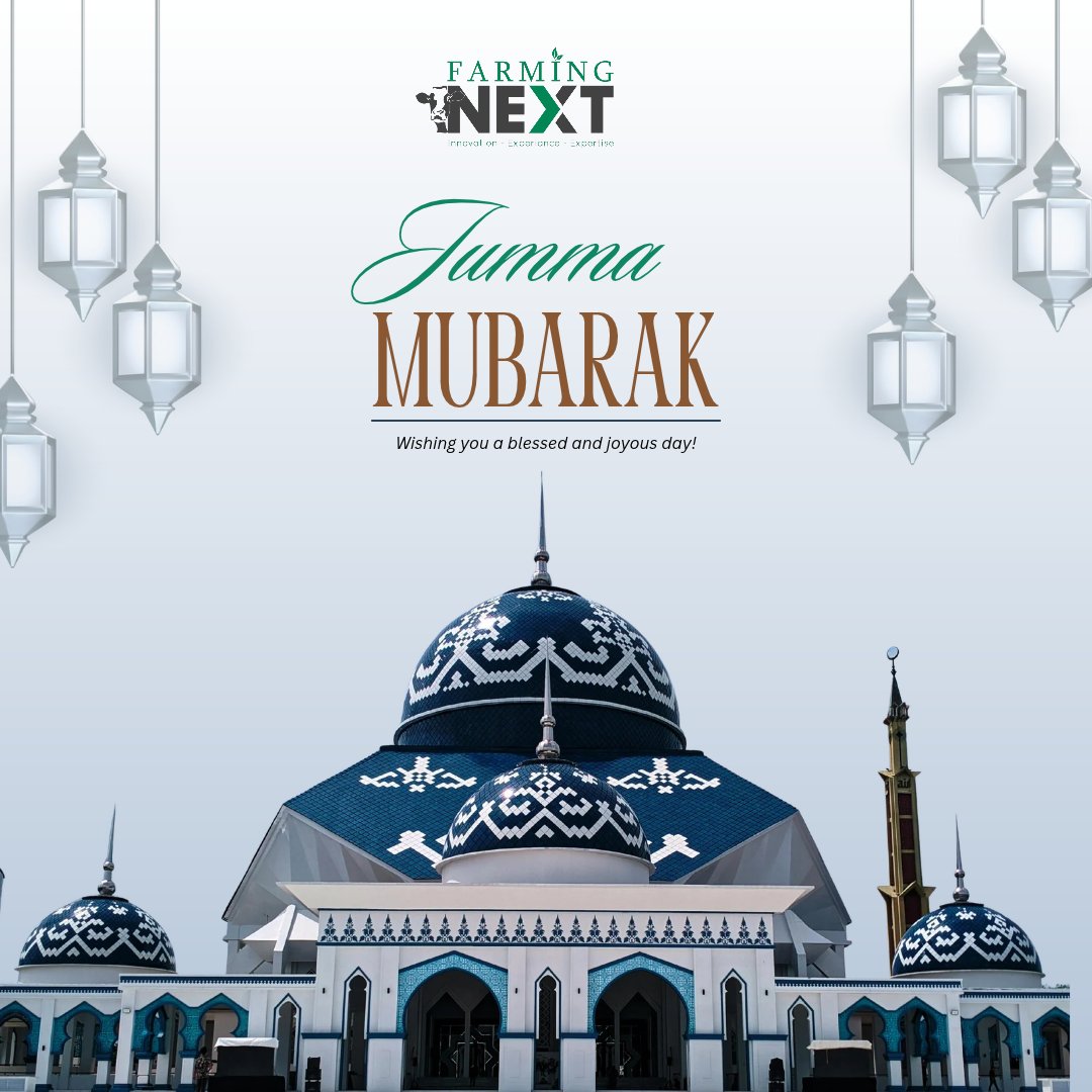 farmingnext555's tweet photo. 𝐉𝐮𝐦𝐦𝐚 𝐌𝐮𝐛𝐚𝐫𝐚𝐤! 📷📷
May Allah fill your life with peace, blessings, mercy, and countless moments of happiness. 📷
#JummaMubarak #farmingnext #FridayBlessings #Dua #Blessings https://t.co/fVSWsjMz8t