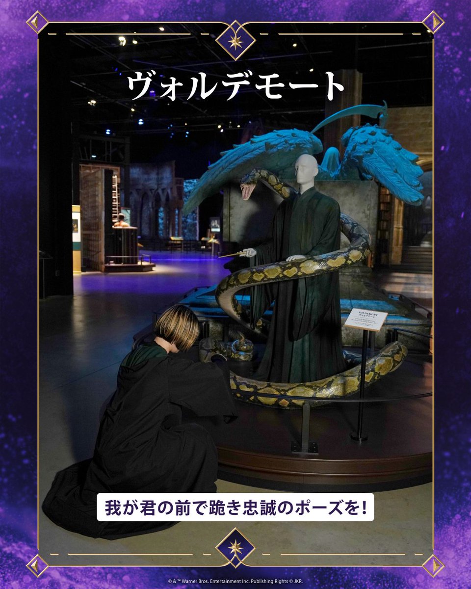wbtourtokyo's tweet photo. ⋱ 📸#ハリポタツアー で投稿 ⋰

#闇の魔術のハロウィーン
💀おすすめフォトスポット🎃

期間限定の展示と
ハロウィーンの思い出に📸

ぜひ撮影してみてください✨ https://t.co/6wYzPYylp7