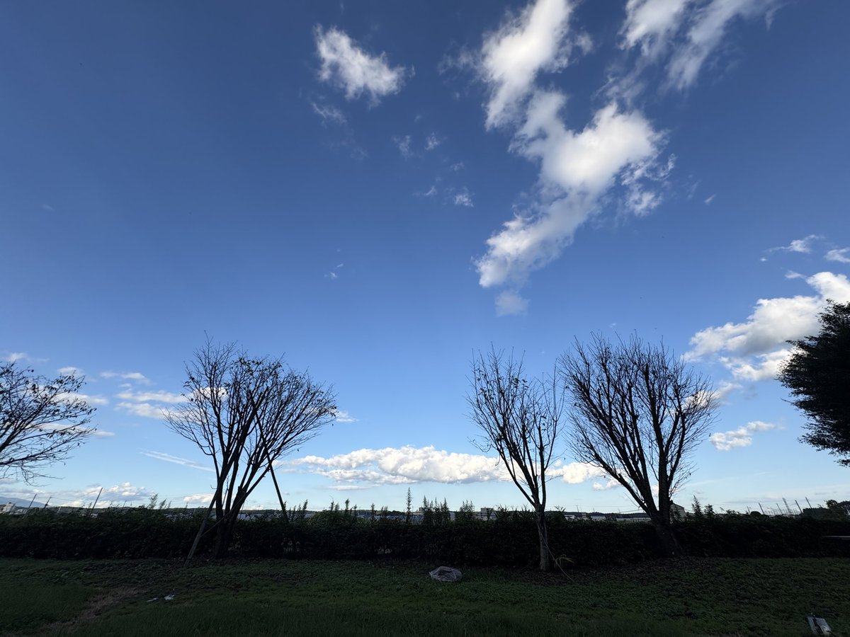 kaiji_sano's tweet photo. 10人乗りワゴンタイプのコミュニティバス初めて乗った　乗る時ステップが出てくるの良い https://t.co/FujyWaMGCv