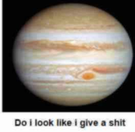 georgejibjab's tweet photo. please i need more of these images https://t.co/DpyKpqnnmO