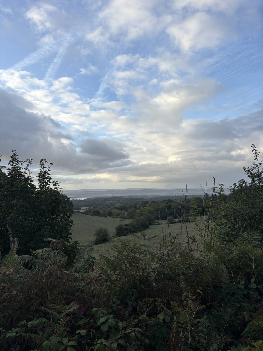 SpinnerJet's tweet photo. Good morning from #Kent - have a great Friday everyone https://t.co/JKBPjCA8eL