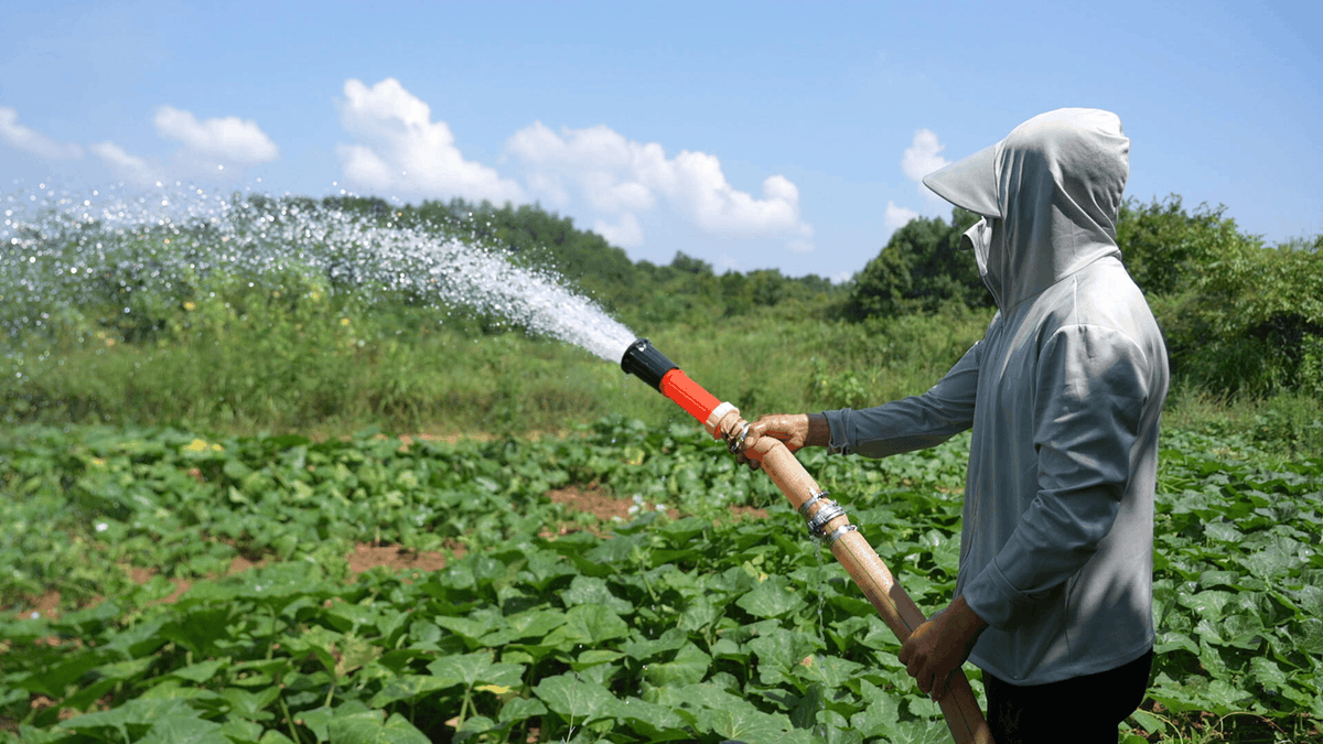 _hawaaaaa's tweet photo. The charming uranium ammonia irrigation brings unique vitality to agriculture. https://t.co/Y20UBkbrKM