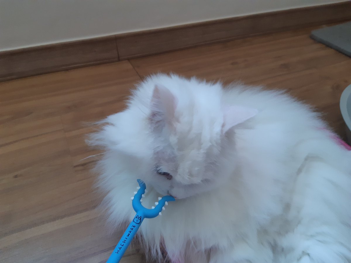 low0cat's tweet photo. 토벌 https://t.co/u63DANyqU9