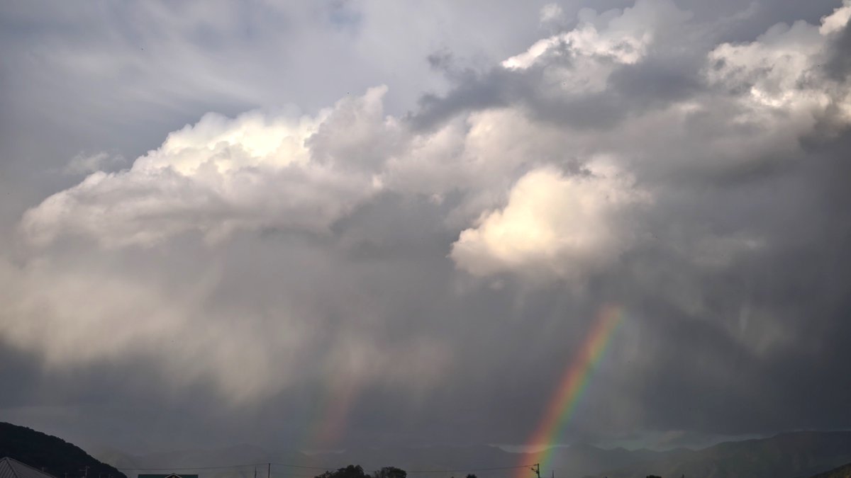 horse1stud's tweet photo. Wレインボー🌈 https://t.co/r9t4ogGKxG