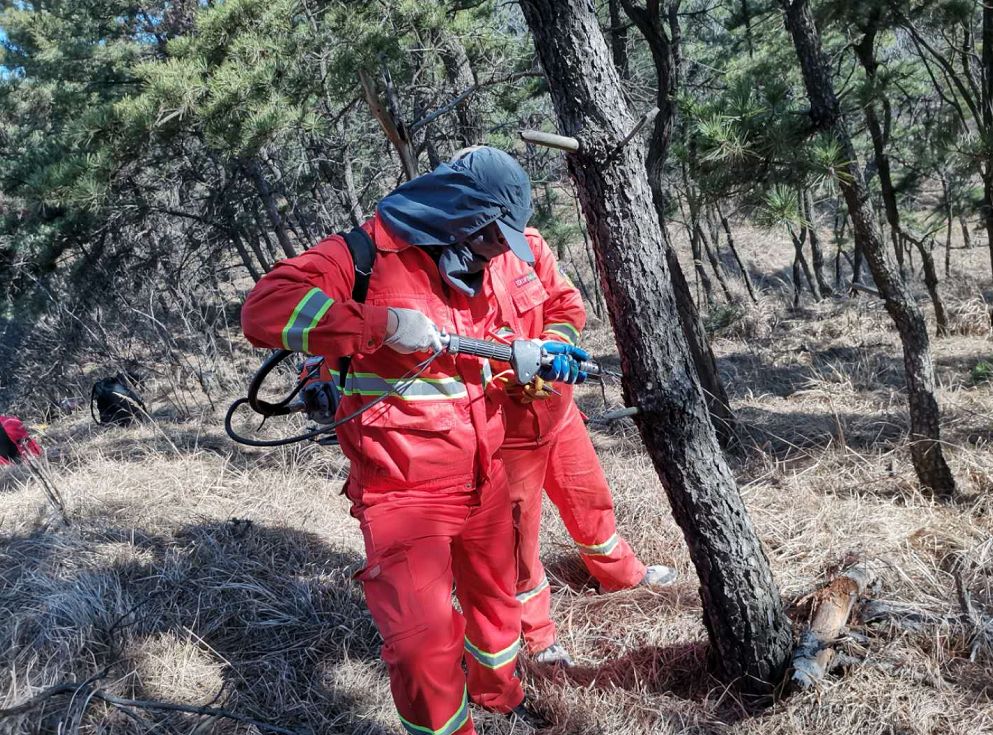 astea322018's tweet photo. In the quiet alley (邑), I use a therapy straw (疗秆) to gently relax the pine (松) tree, while a fierce insect (噬) lurks nearby.， https://t.co/dxYDEawCRL