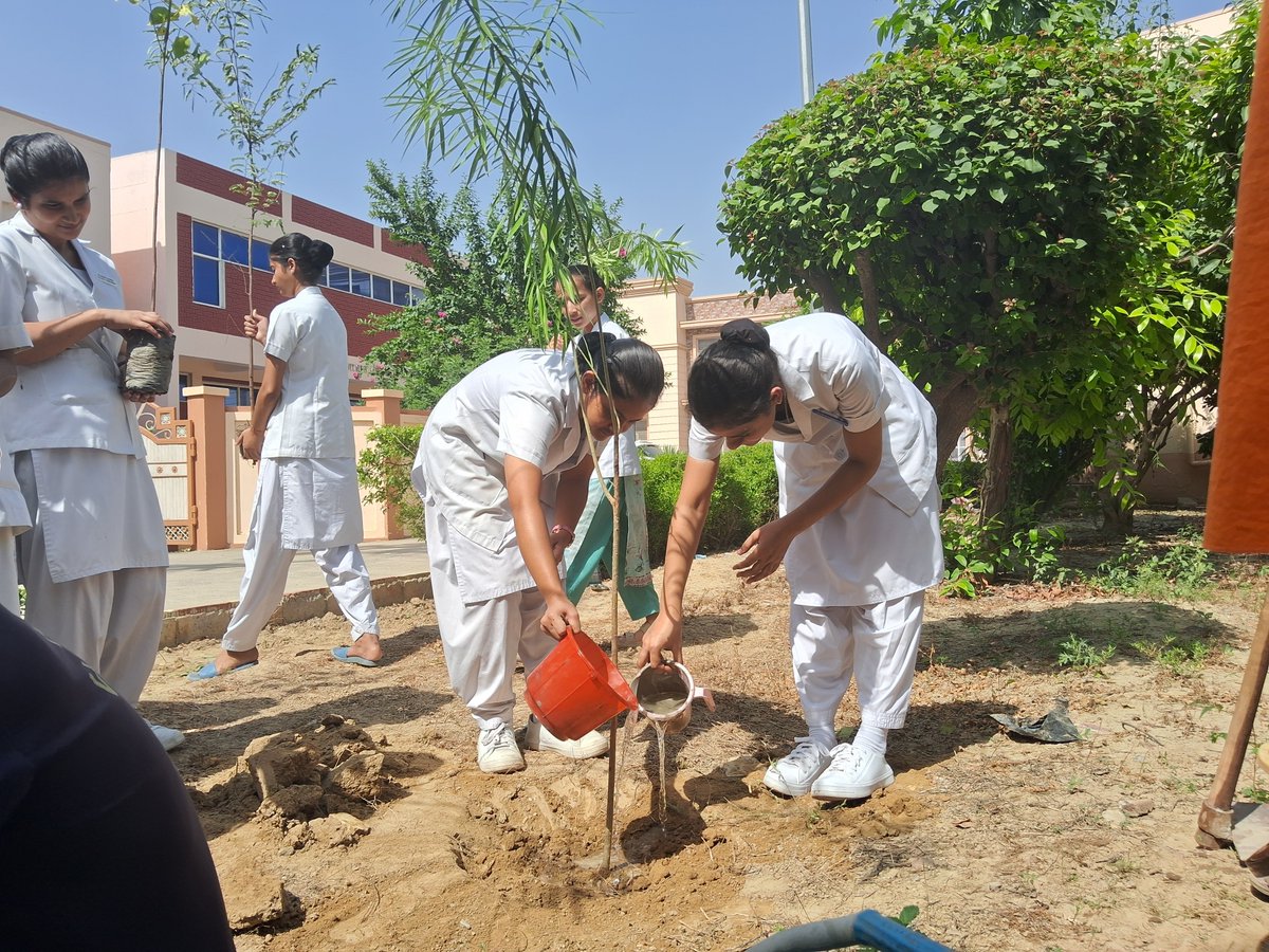 FVrindavan's tweet photo. On the occasion of Gandhi Jayanti, Friends of Vrindavan and Ramakrishna Mission Sevashrama, Vrindavan, jointly organised a tree plantation drive on the hospital campus. As part of the initiative, 90 trees were planted by the students of Ramakrishna Mission Nursing School. https://t.co/9Ix7BwsXRZ