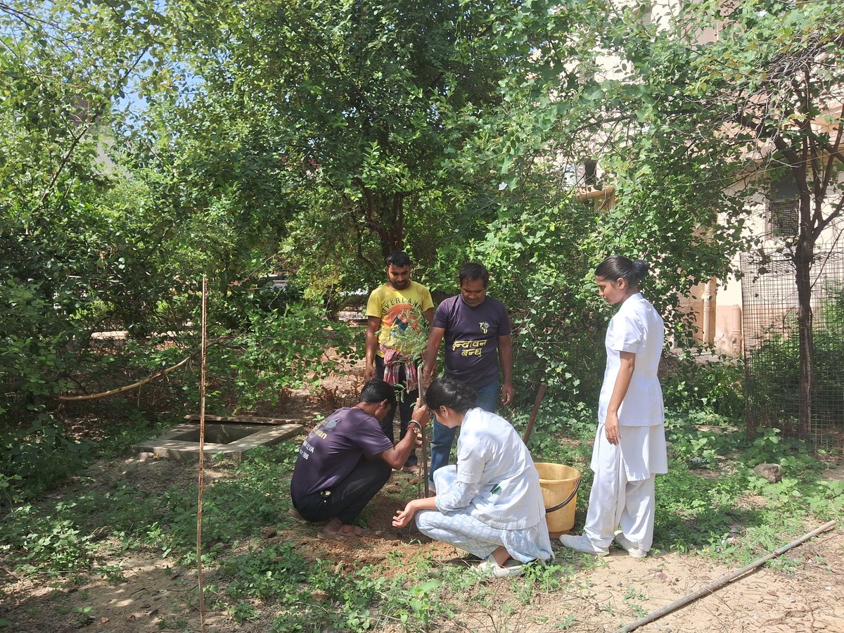 FVrindavan's tweet photo. On the occasion of Gandhi Jayanti, Friends of Vrindavan and Ramakrishna Mission Sevashrama, Vrindavan, jointly organised a tree plantation drive on the hospital campus. As part of the initiative, 90 trees were planted by the students of Ramakrishna Mission Nursing School. https://t.co/9Ix7BwsXRZ