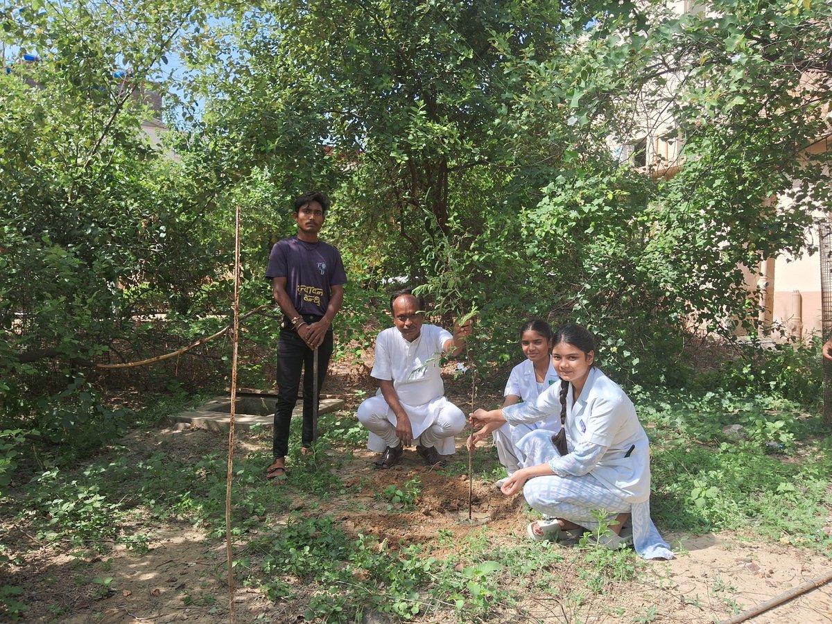 FVrindavan's tweet photo. On the occasion of Gandhi Jayanti, Friends of Vrindavan and Ramakrishna Mission Sevashrama, Vrindavan, jointly organised a tree plantation drive on the hospital campus. As part of the initiative, 90 trees were planted by the students of Ramakrishna Mission Nursing School. https://t.co/9Ix7BwsXRZ