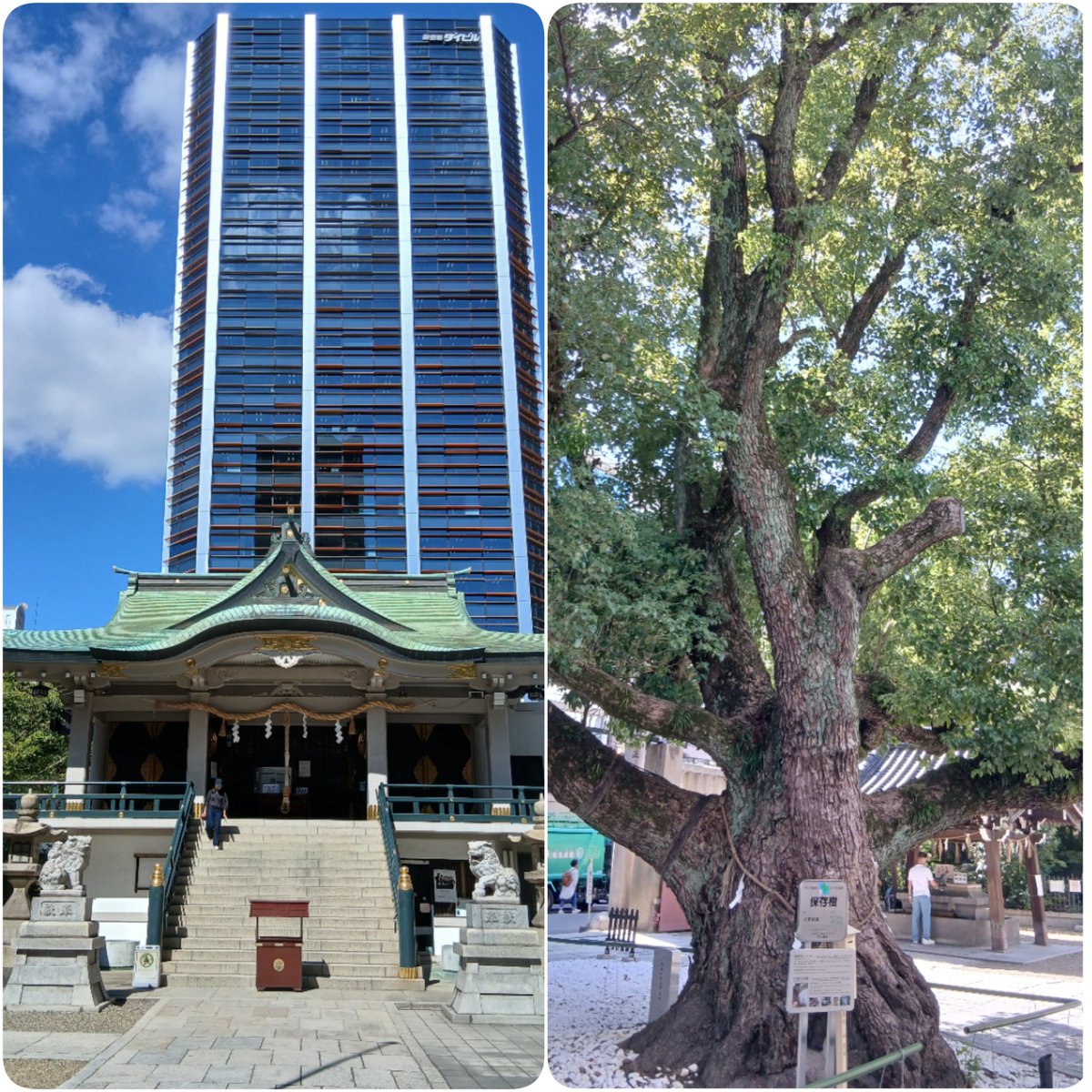 takachan1167's tweet photo. 行ってきました!
高級感溢れる赤い世界に♥️
洒落てるなぁ(*´艸`)ステキステキ!!
アルバム発売がめっちゃ楽しみになりました🙌🎶
観終わってから会場直ぐ隣の⛩️難波神社に参拝しました🙏
戦災を乗り越えたくすの木にパワーをいただき、木陰で癒されてきたよ🍃
#AMENITYGallery
#SnowMan https://t.co/rRKjfiUmBp