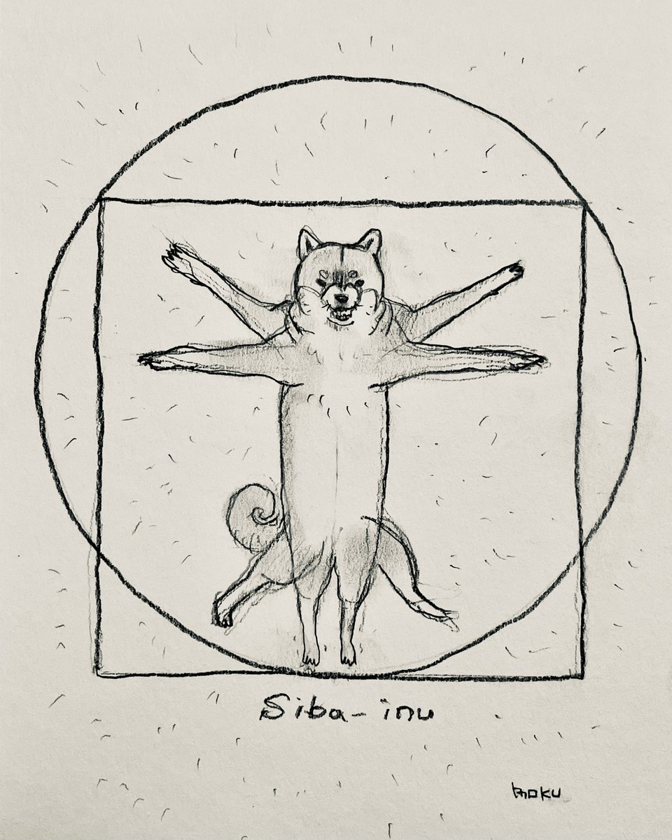 hashimotomoku's tweet photo. 犬体図(抜け毛付きver.) https://t.co/CwiWVSCglB