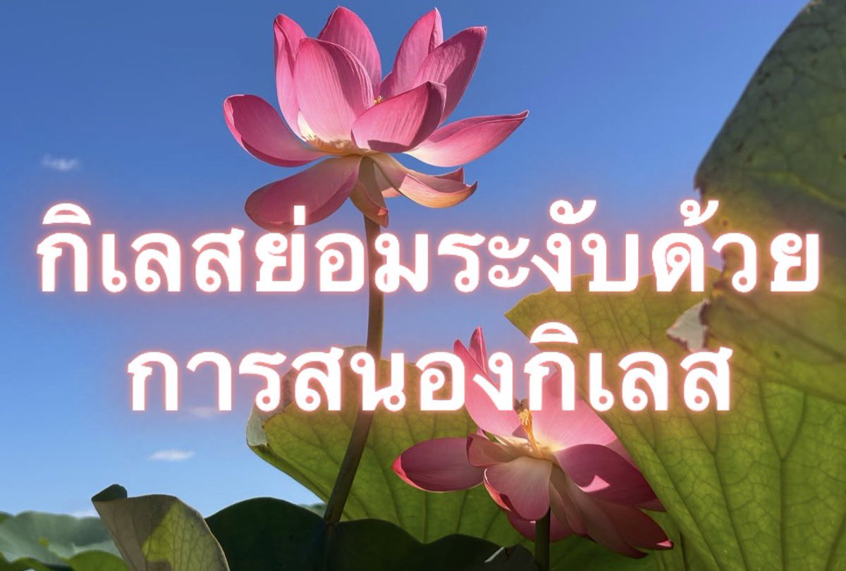 Iaunza's tweet photo. ซื้อเท่านั้น!! https://t.co/McU6zHh8PZ