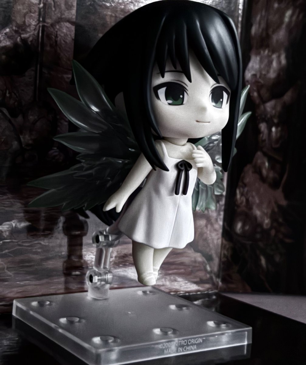 chinchillapille's tweet photo. #sayanouta https://t.co/k2zp41SDyB