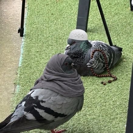 Pk_khan1's tweet photo. Birds in Gulf
خلیجی ممالک میں پرندوں کا بھی اپنا ہی اسٹائل ہے،
ایک نے ٹوپی پہنی، دوسرے نے تسبیح پکڑی اور بولے

حبیبی، اب بس دبئی کا ویزا لگوا دو! 😂 https://t.co/BqhWD6gz4J