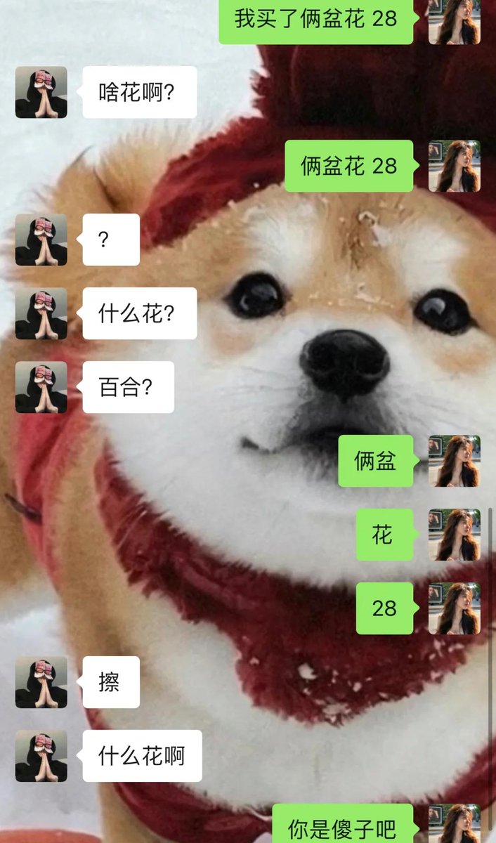 LarryFlorems4b's tweet photo. [Today I had an interesting chat with Yi Yatang about creative ideas!]， https://t.co/9XEuiwsPUy