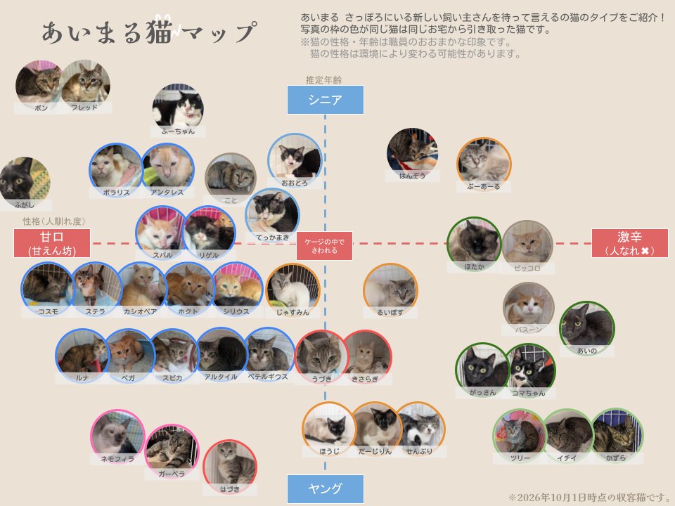 sapporo_dobutsu's tweet photo. センターで飼い主を募集している44匹の猫の性格・年齢が分かる「あいまる猫マップ」を更新しました✨皆さんの推し猫はいますか？新しい飼い主さん大募集です！
#札幌市　#保護猫　#飼い主募集中 https://t.co/iQBhHzJfAi