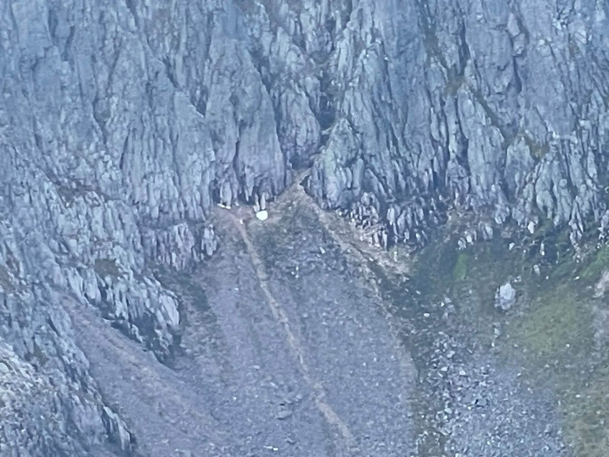 theiaincameron's tweet photo. Easily mistaken for a lump of quartz or similar rock, the Sphinx snow patch in Scotland was photographed yesterday. It is now critically small and likely to melt in the coming days. 

It has not survived since 2020. Astonishing.

Photos by Robert Houghton. https://t.co/QbINgd9QIV