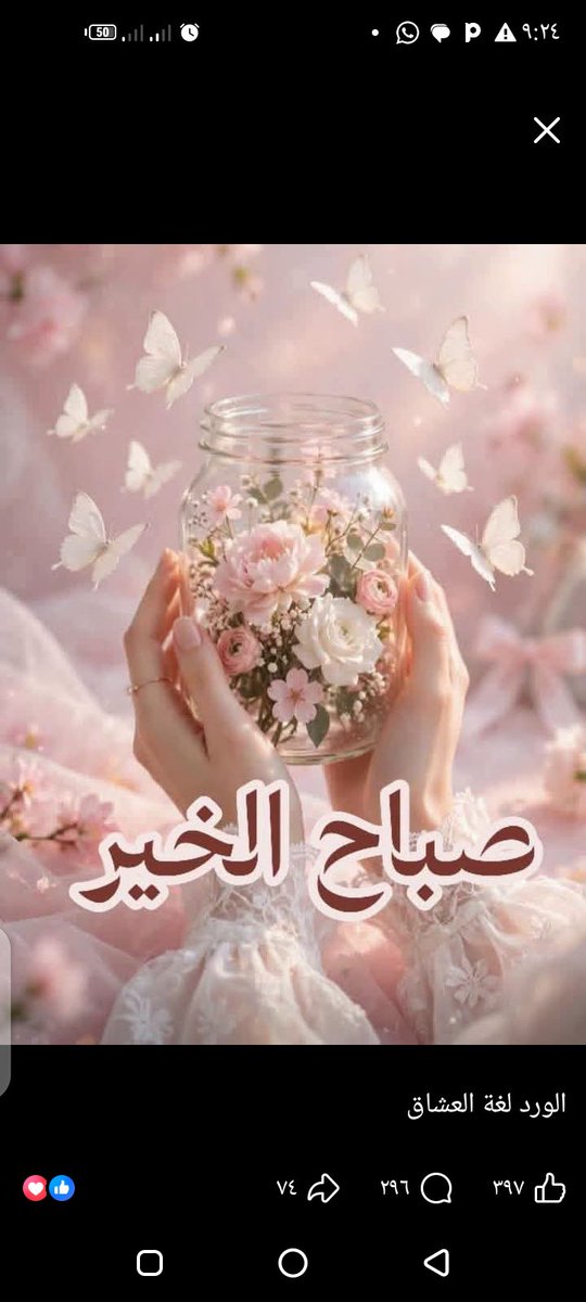 wesliy31's tweet photo. #صباح_الخير_والسعادة 
#جمعة_طيبة 🎀
متابعين تويتر https://t.co/RF7bcp83hO