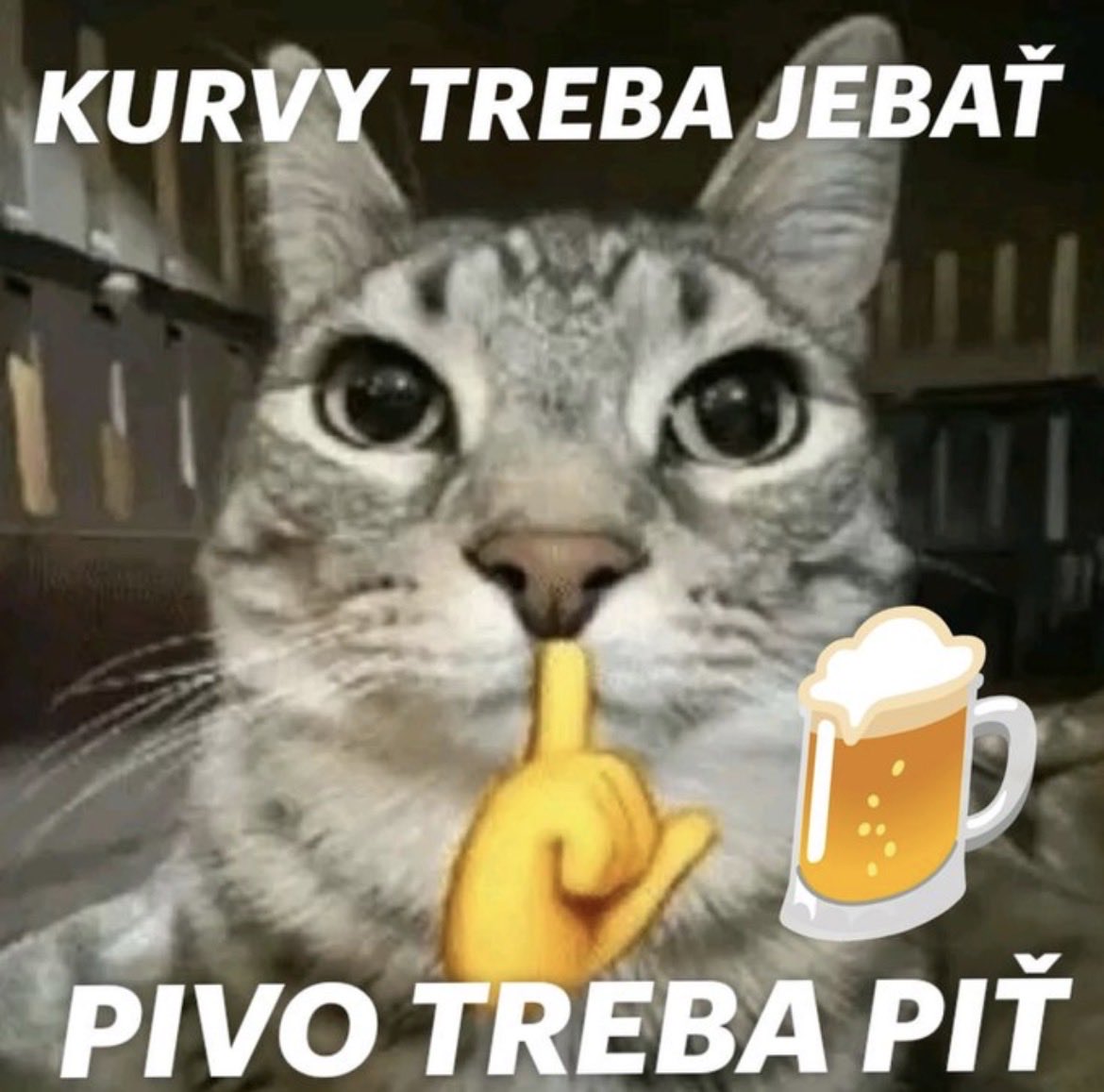 Rudy17311's tweet photo. @Team_Zefier @gryczanyy @ha1skaa @grzesiulacs2 @R4hencs @ClutchPoint_cs2 Szykowac sie od 19 zeby w 20 minut mecz skonczyc https://t.co/lGxYSTxk1S
