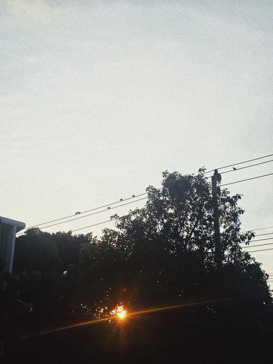 ONO2113 tweet picture
