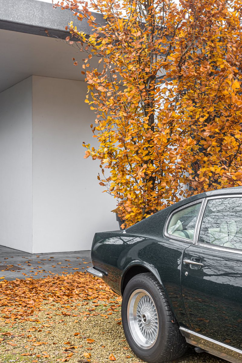 ClassicRunpiwy's tweet photo. [The car by River Ash, chrysanthemums in grey breeze, a quiet autumn vibe]， https://t.co/CquGUOzNQ2