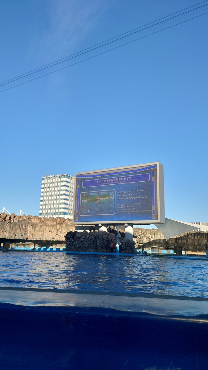 ranfan555's tweet photo. イルカショーすごかった！イワシのトルネードは見れなかったけど満足
＃名古屋水族館 https://t.co/vwoahIa8nV
