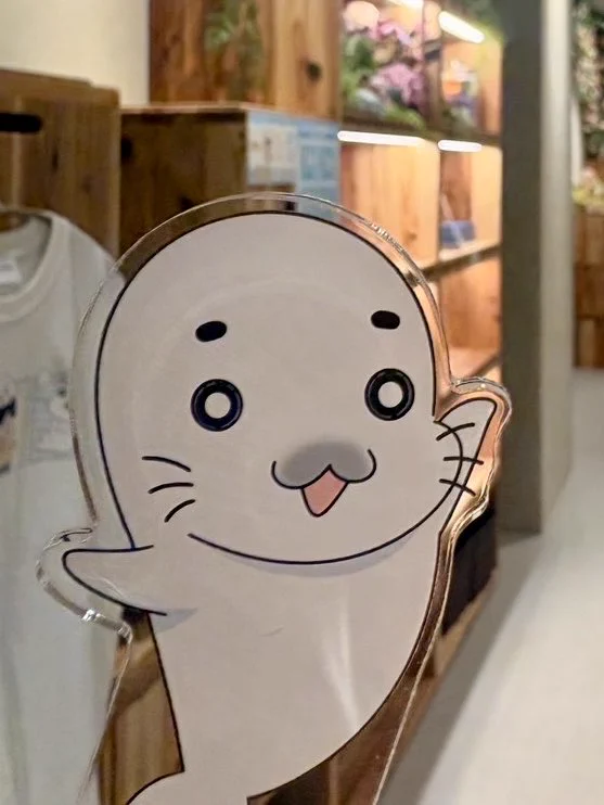 小3アシベ QQゴマちゃん』アニメ公式 on X: 