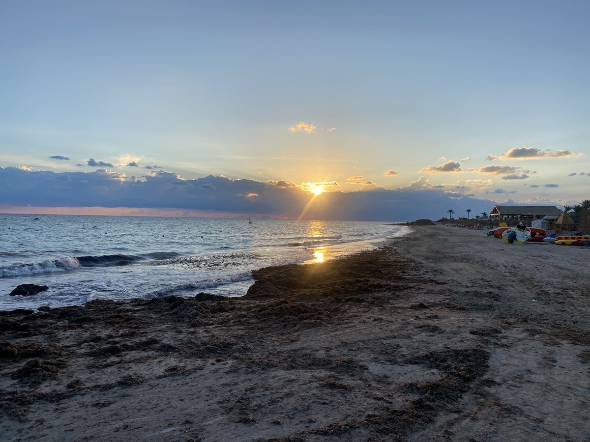 Oussama_Chourou's tweet photo. Morning 🌞 run 🏃‍♂️:
Running Keeper 100 Days : Day 83/100
#AmoCorrere #RunBlue 
#RunIsland #RunToDeath
#RunningClubMidoun https://t.co/p4U7VGbe7m