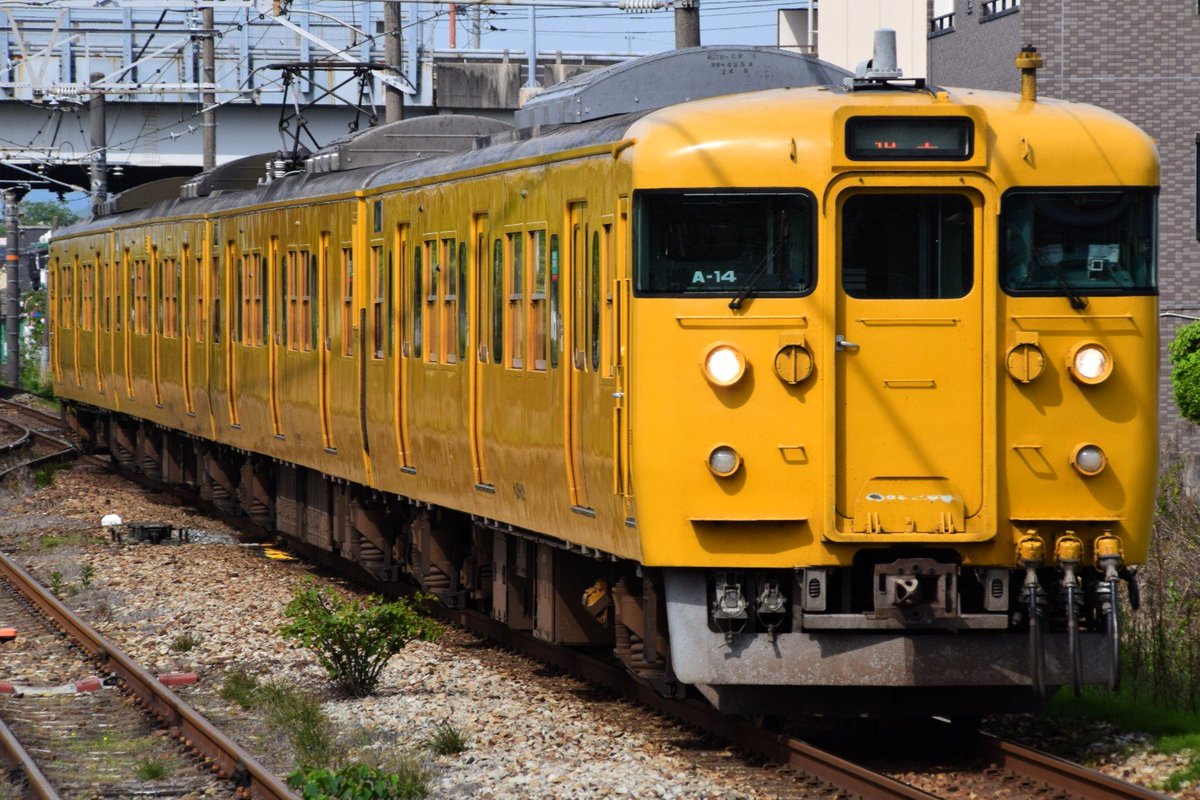 NewKatoChan's tweet photo. 岡山115系A編成運行終了した模様なので貼っておきます

ああ、悔いはない

#みんなで開催する115系展示会 https://t.co/Kt5jgmIiuX