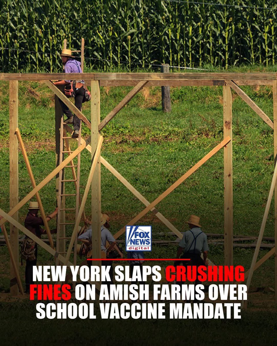 toobaffled's tweet photo. New York’s vaccine mandate is now at the centre of a major religious-freedom battle involving Amish families.

For decades, New York allowed religious exemptions from school vaccination requirements. That changed in 2019, when the state repealed the exemption, leaving Amish families who object to vaccination on religious grounds facing the same school requirements as other children.

Several Amish parents and Amish community schools challenged the law, arguing that it interferes with their sincerely held religious beliefs and way of life. Their schools have also faced fines for failing to comply with the vaccination requirements.

On June 30, 2026, the Second Circuit Court of Appeals upheld New York’s law again, finding that the vaccination requirement is a neutral law that applies generally to schoolchildren and that it does not violate the First Amendment’s Free Exercise Clause.

The Amish families have now returned to the U.S. Supreme Court, asking the justices to hear the case.

Their lawyers, including First Liberty Institute, argue that the consequences could be severe enough to force Amish families to leave New York rather than abandon their religious practices. First Liberty says the Amish have lived in New York for generations and are asking to continue practising their faith there.

Whatever your views on vaccination, this case raises a much bigger constitutional question:

How far can a state go when a public-health requirement conflicts with a sincerely held religious belief?

And now the U.S. Supreme Court is being asked to decide whether it will take up the Amish families’ challenge.

Read:

https://t.co/WR2GyLbGiy