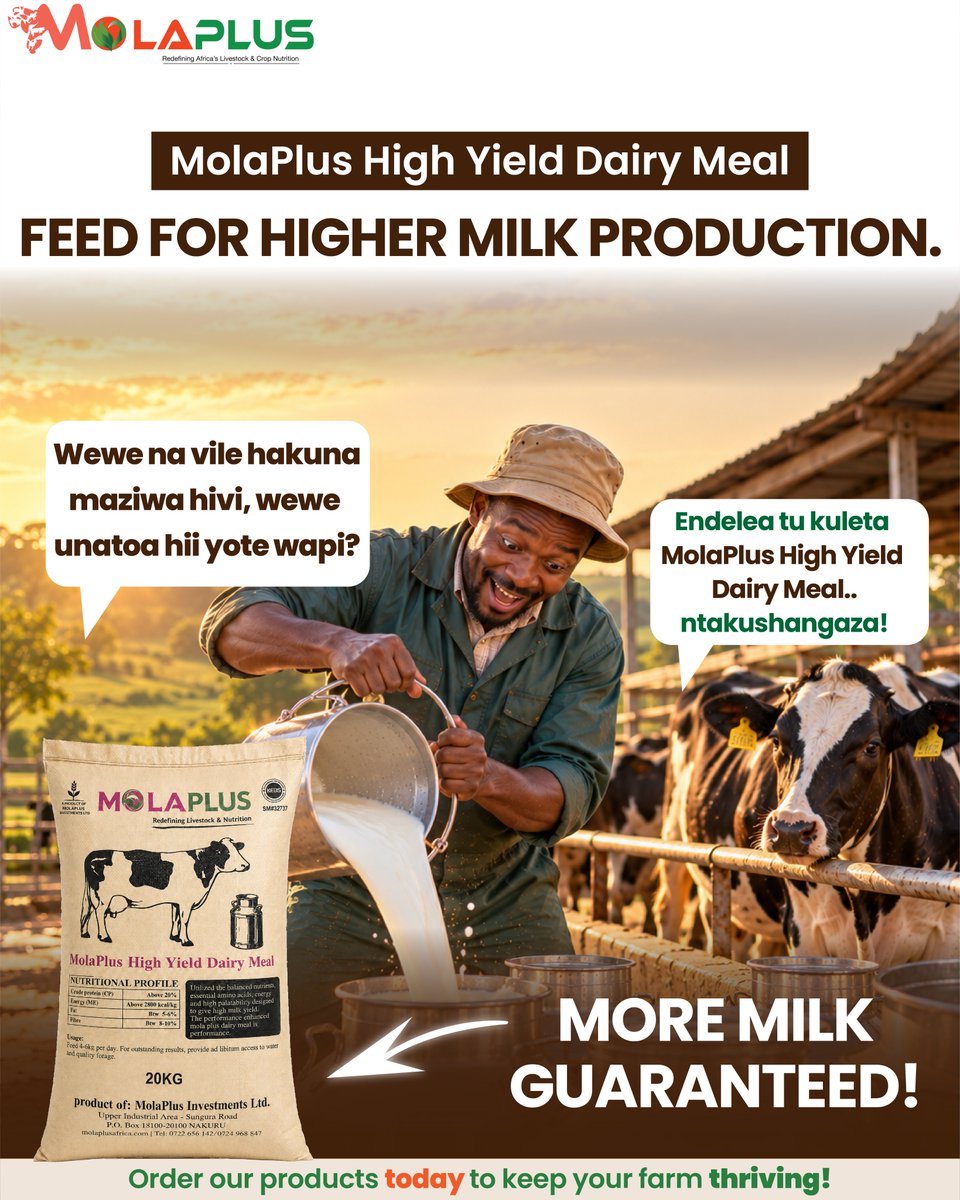 MolaplusM's tweet photo. MolaPlus High Yield Dairy Meal supports milk production, body condition &amp; dairy performance with 20%+ protein and high energy.
Feed: about 4–6 kg/cow/day alongside quality forage + clean water.
#DairyFarmingKenya #MilkProduction #MolaPlus https://t.co/u1S3Zq9wYH