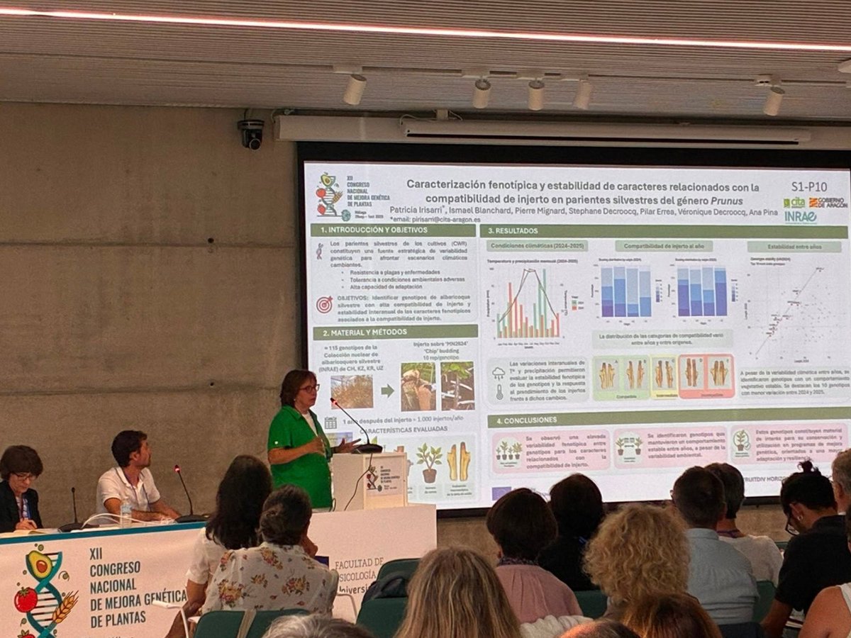 CITAAragon's tweet photo. @SECHorticolas @segenetica @IHSM_CSIC_UMA Unos trabajos que pertenecen a los proyectos #WAMEDISS, #CHERRYBREED, #DorFruitCC, #LetBlu, #BioSeq, #APPLEDIV, #FRUITDIV, #PRIMA #MEDPOMESTONE, #HOLA4ALLTREE y el Banco de Germoplasma Hortícola del CITA 🍈🍒🍎🥬 https://t.co/QC90LZAMxv