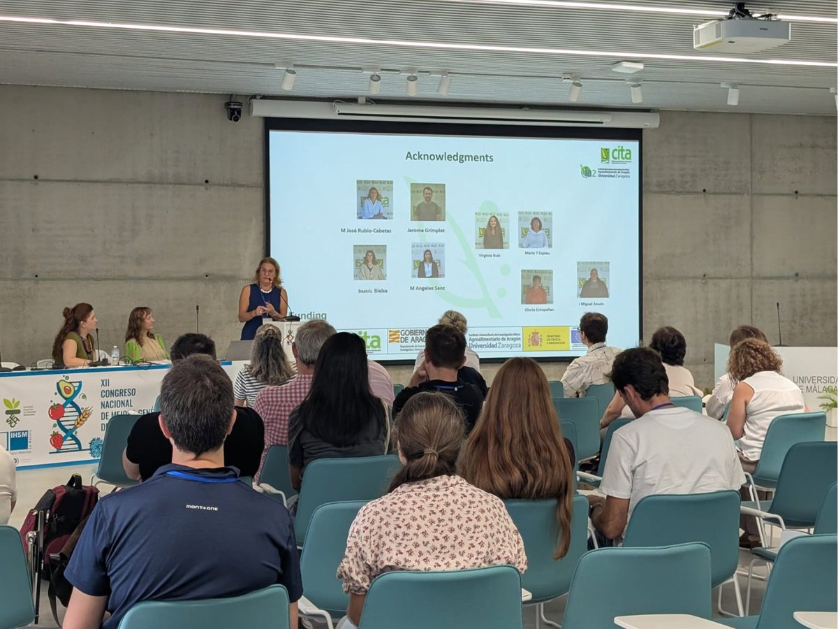 CITAAragon's tweet photo. @SECHorticolas @segenetica @IHSM_CSIC_UMA Unos trabajos que pertenecen a los proyectos #WAMEDISS, #CHERRYBREED, #DorFruitCC, #LetBlu, #BioSeq, #APPLEDIV, #FRUITDIV, #PRIMA #MEDPOMESTONE, #HOLA4ALLTREE y el Banco de Germoplasma Hortícola del CITA 🍈🍒🍎🥬 https://t.co/QC90LZAMxv